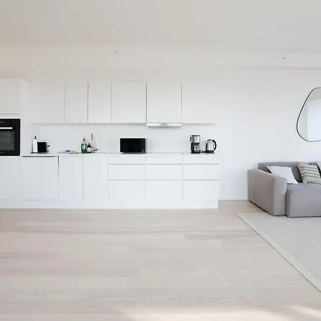 Modern Minimalist With Panoramic Views 哥本哈根