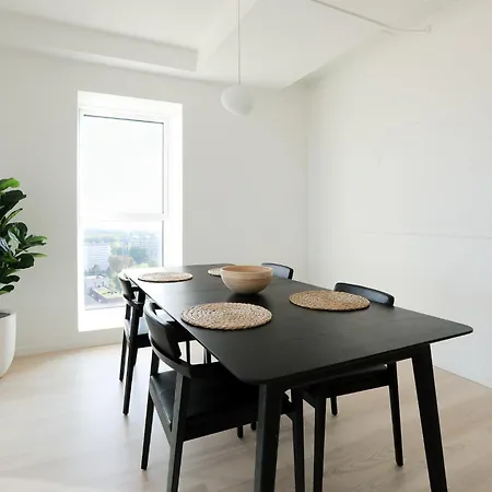 Modern Minimalist With Panoramic Views 公寓 哥本哈根